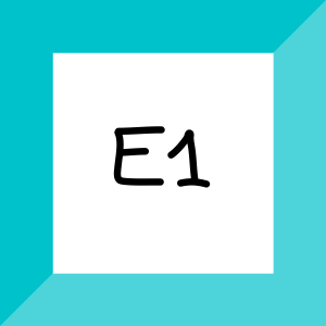 Ε1